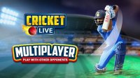 Cricket Quick Match Challenge